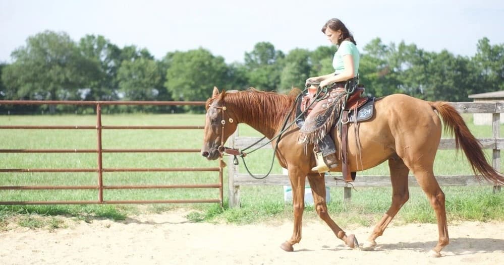 Intermediate Horseback Riding with Atlas Riding School