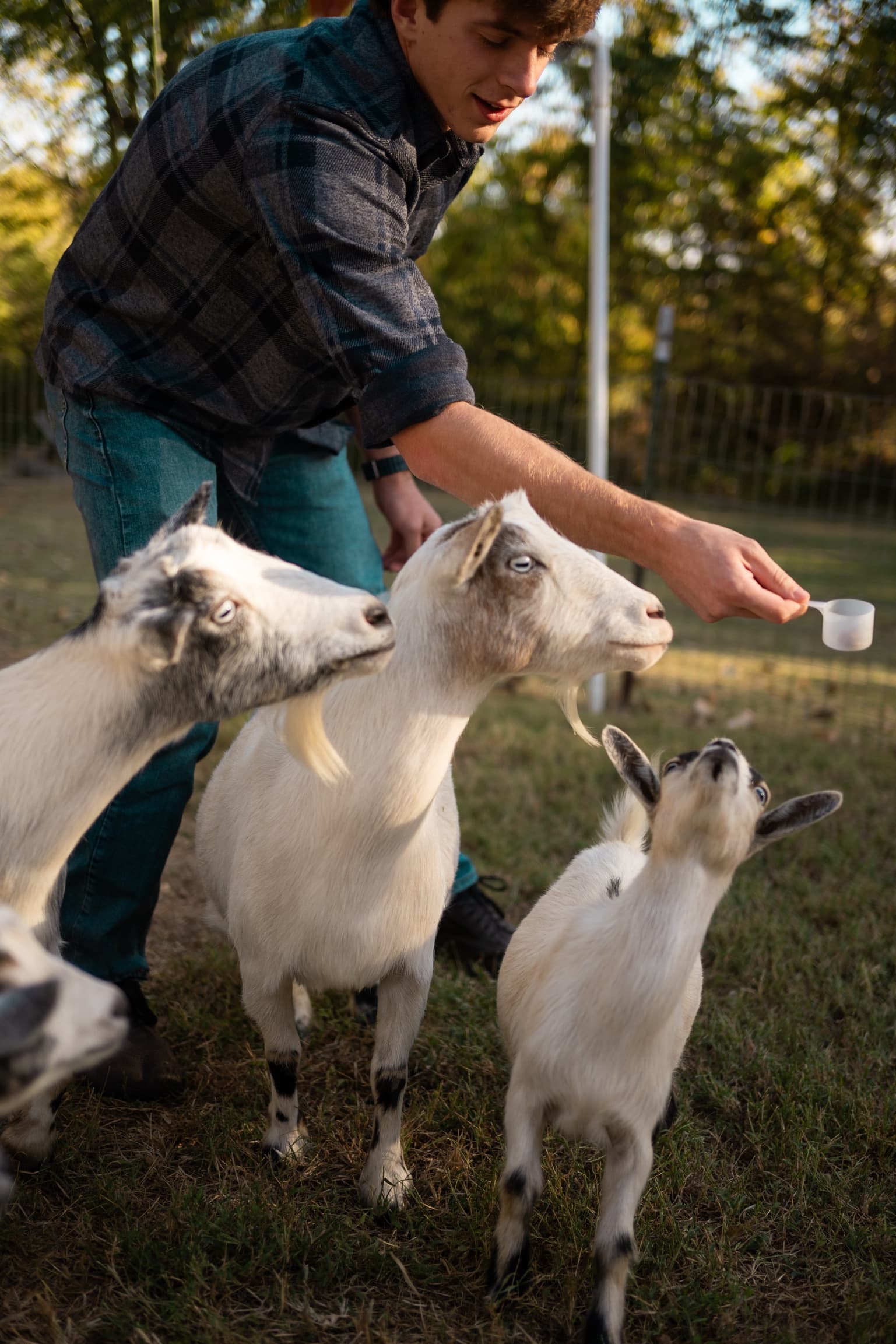 Providence Hill Farm team