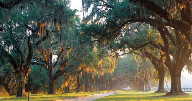 Day Trips to Charleston team