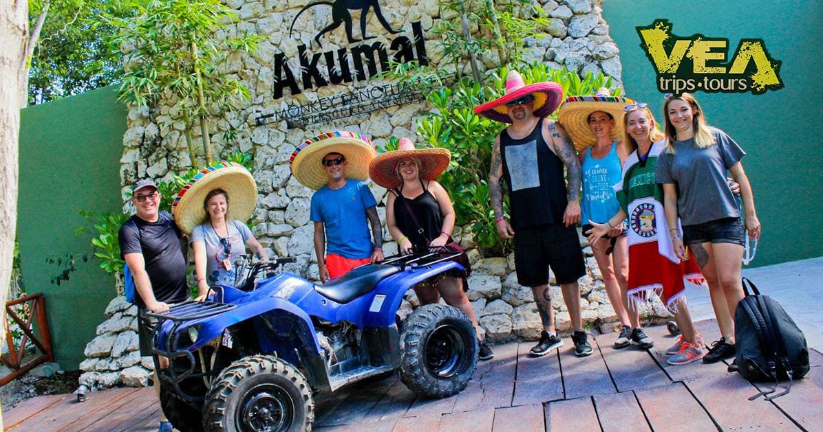 Explore Akumal's Unique Monkey Sanctuary: A Wildlife Adventure in Quintana Roo