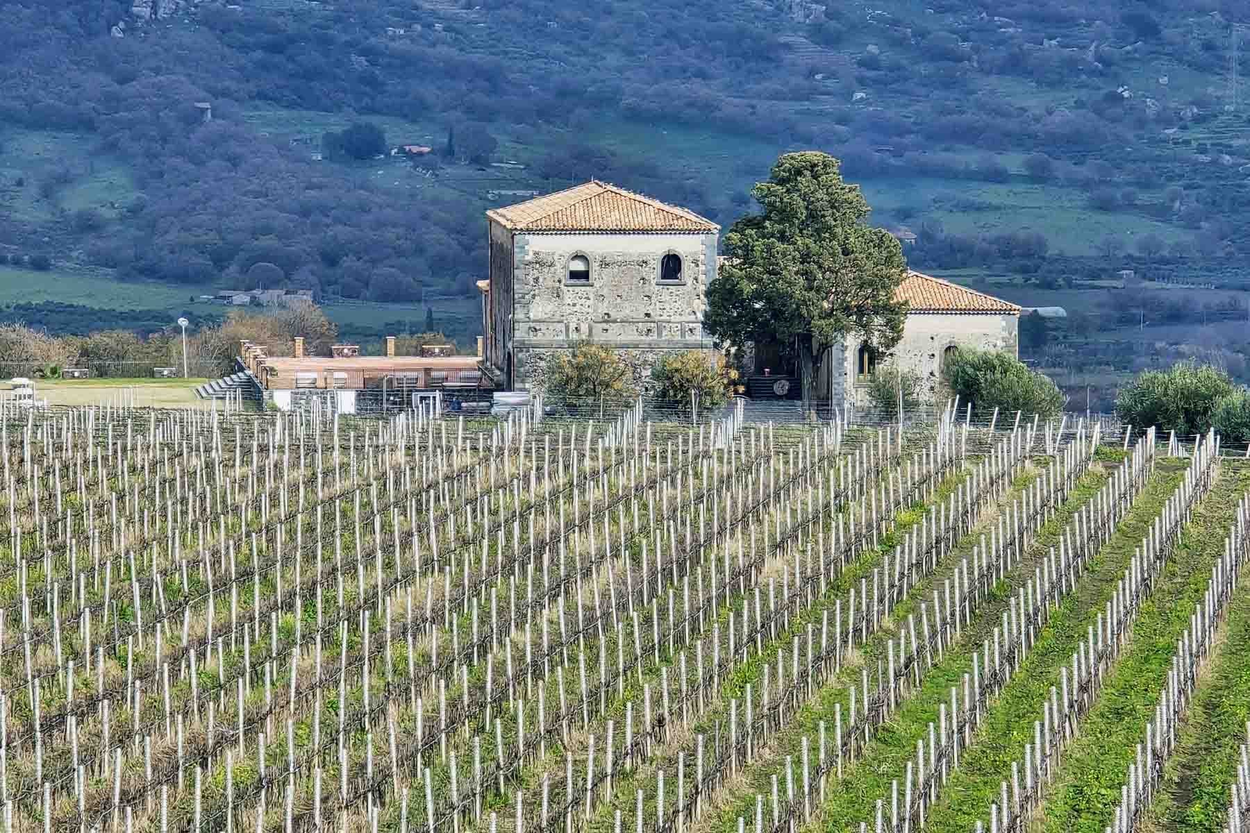 Etna Wine Tours from Taormina with Discover Messina