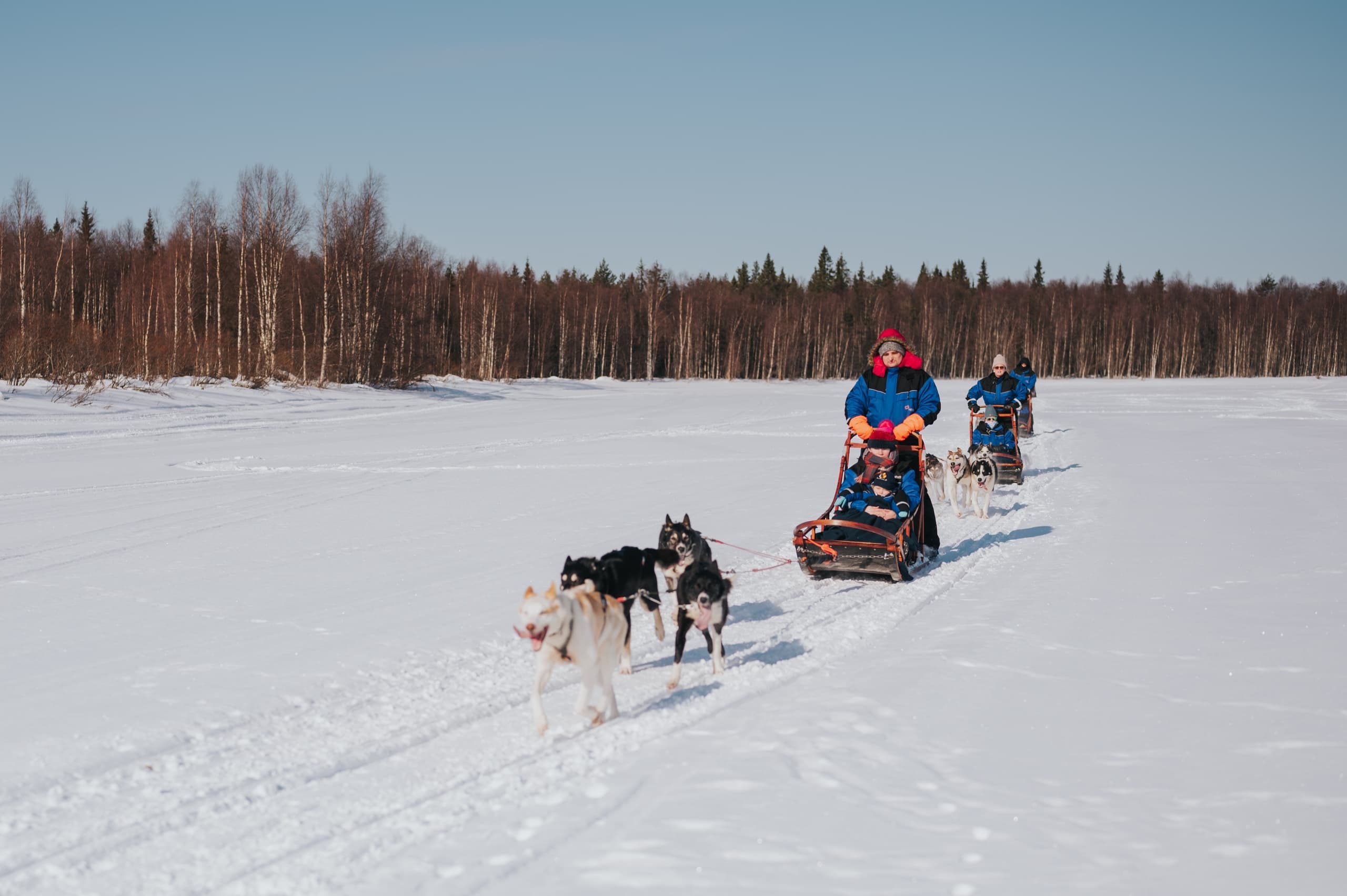 Dog sled team pulling sled across snowy lake with forest