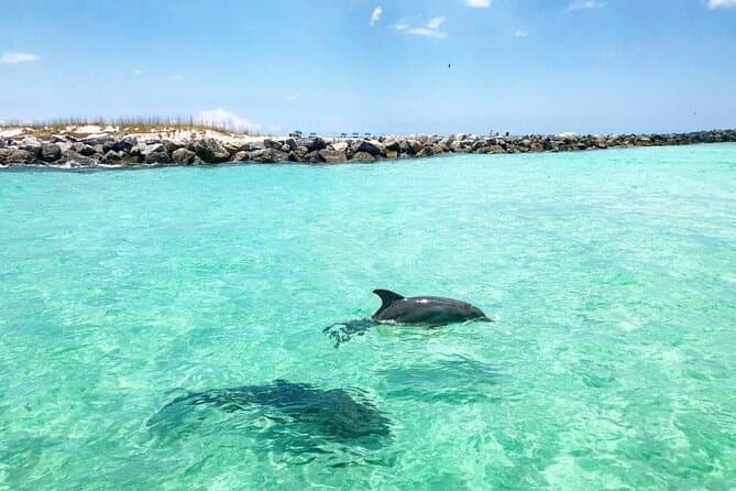 Full Day Shell Island Adventure with Gulf Coast Excursions in Panama City