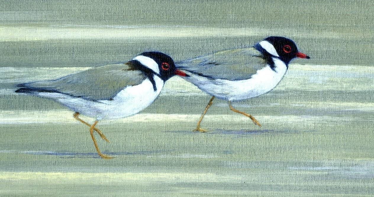 Painting of small shorebirds running on sandy tidal flat
