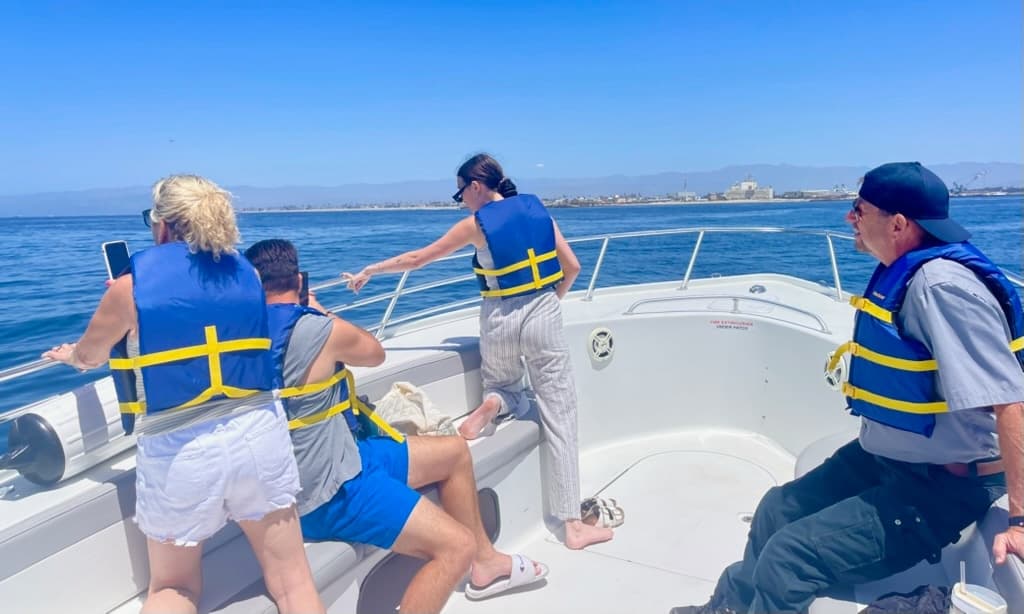 One-Hour Whale & Dolphin Adventure from Oxnard: Fast Marine Wildlife Tours photo 3