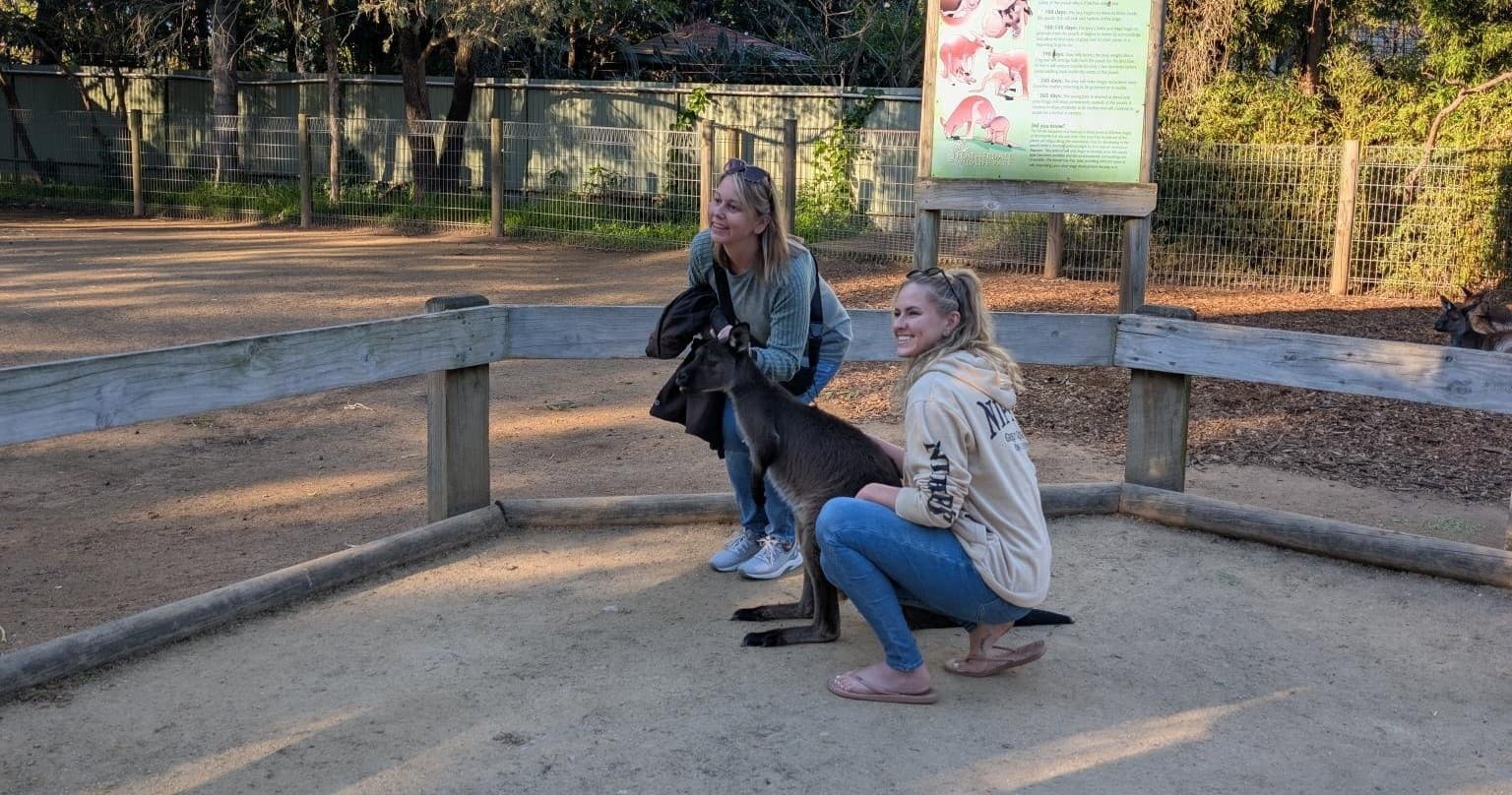 Outdoor Adventure & Scenic Views with Sydney Top Tours