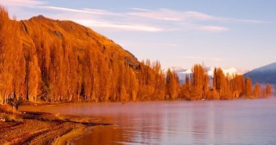 Through the Middle: Koru Scenic Tours’ Otago Road Journey