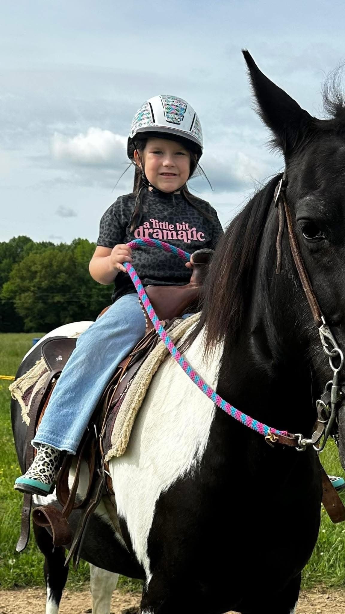 Hands-On Horsemanship: One Hour Private Lessons in Park City, Kentucky photo 2