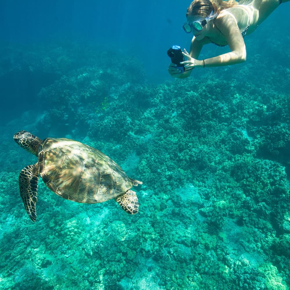 Kona Snorkeling Adventures on Hawaii’s West Coast
