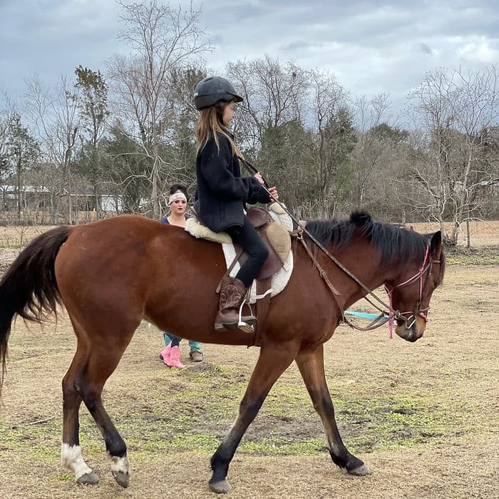 Mastering Mindful Horsemanship: A Transformative Lesson in Houston