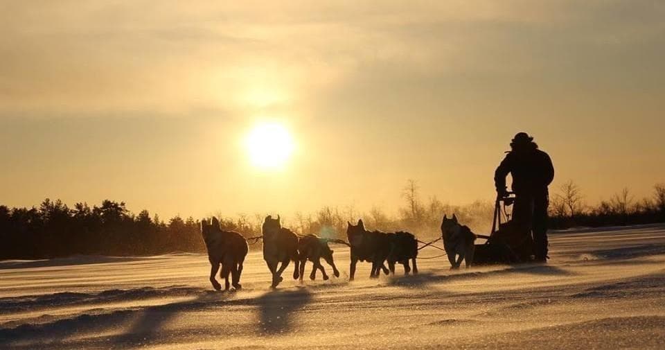 Husky Safari Adventure with Hetta Huskies in Enontekiö