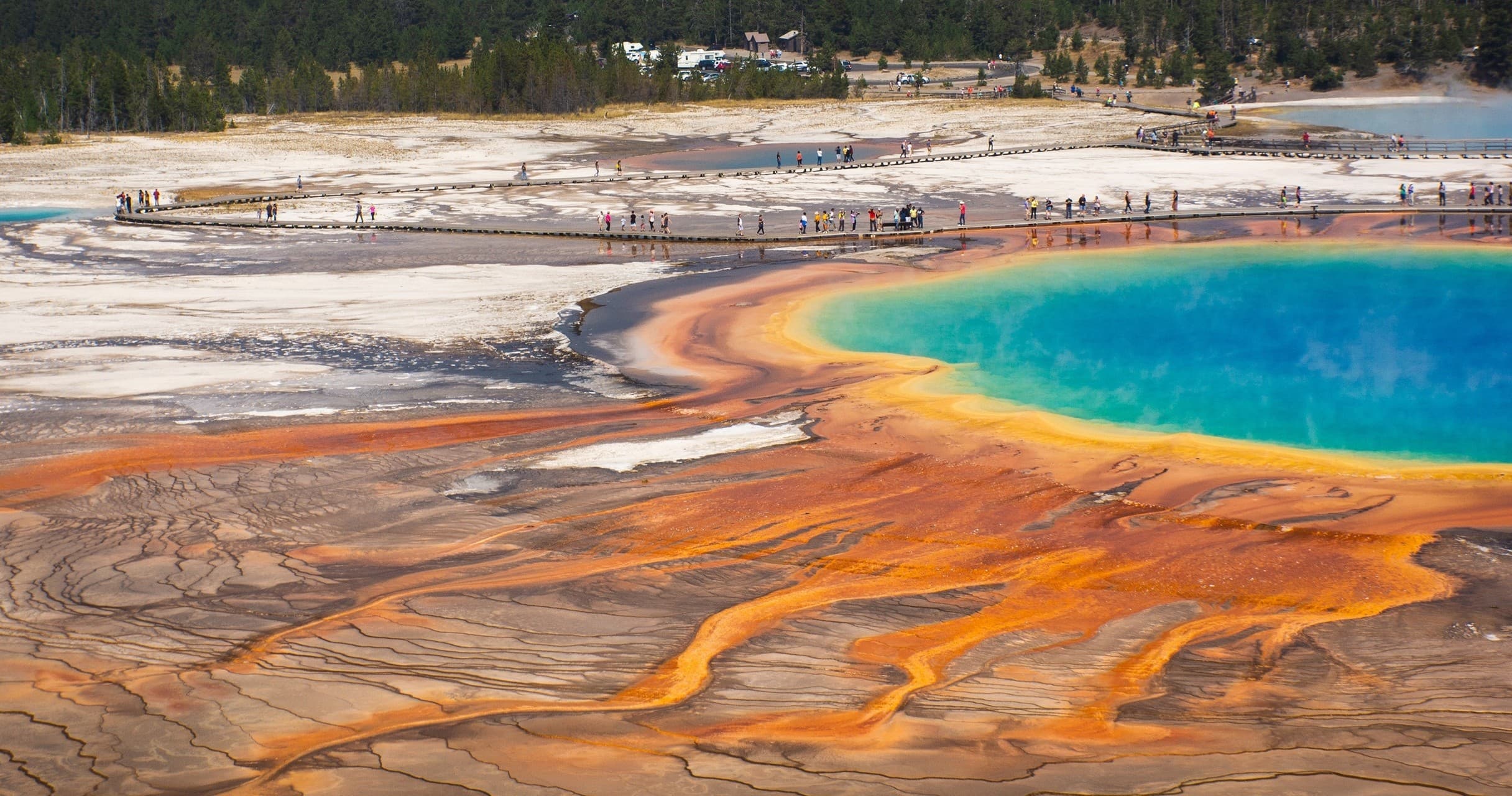Grand Teton & Yellowstone Day Tour with Jackson Hole Wildlife Safaris