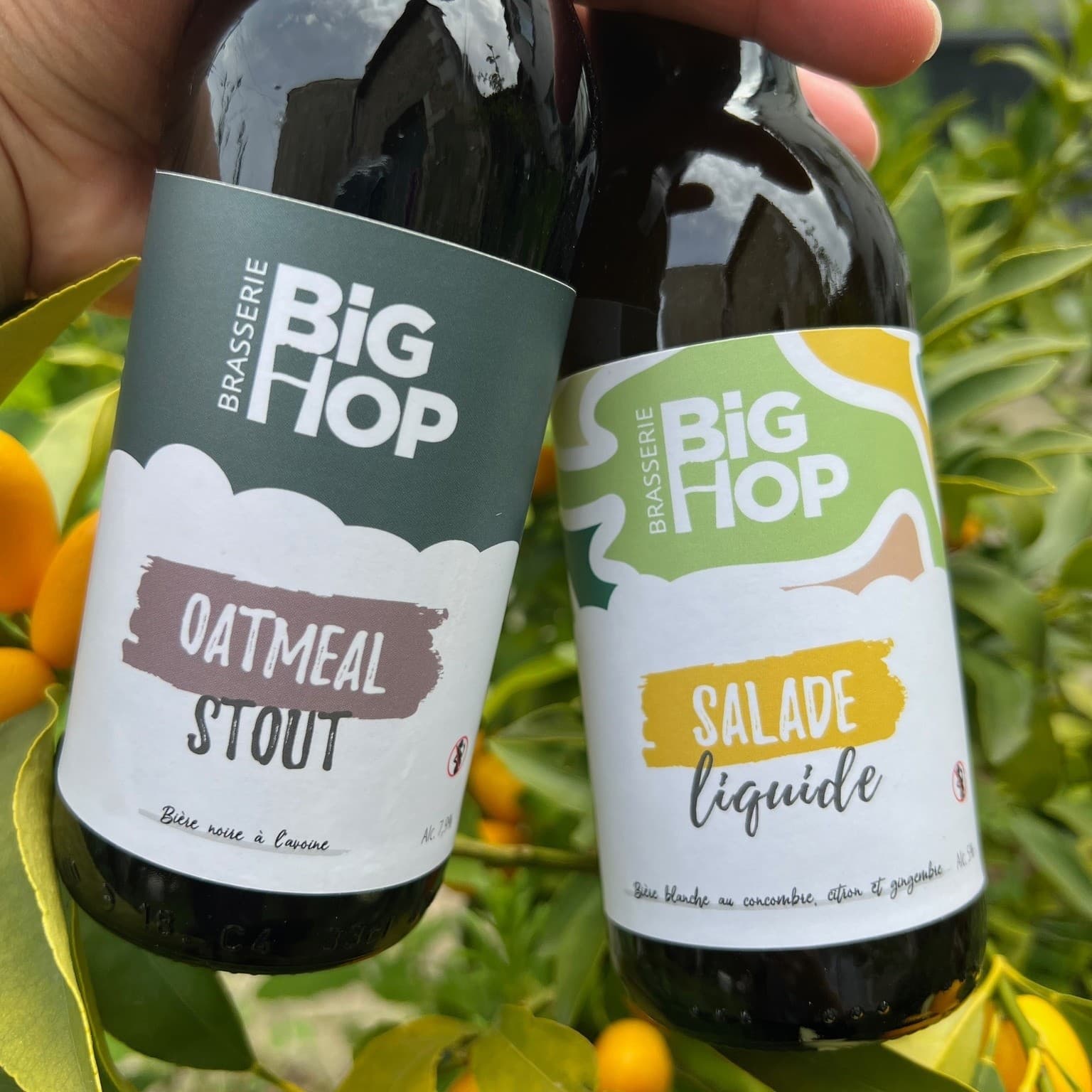 Hands-On Brewery Workshop on the Charente: Adopte Big Hop Brewing Experience