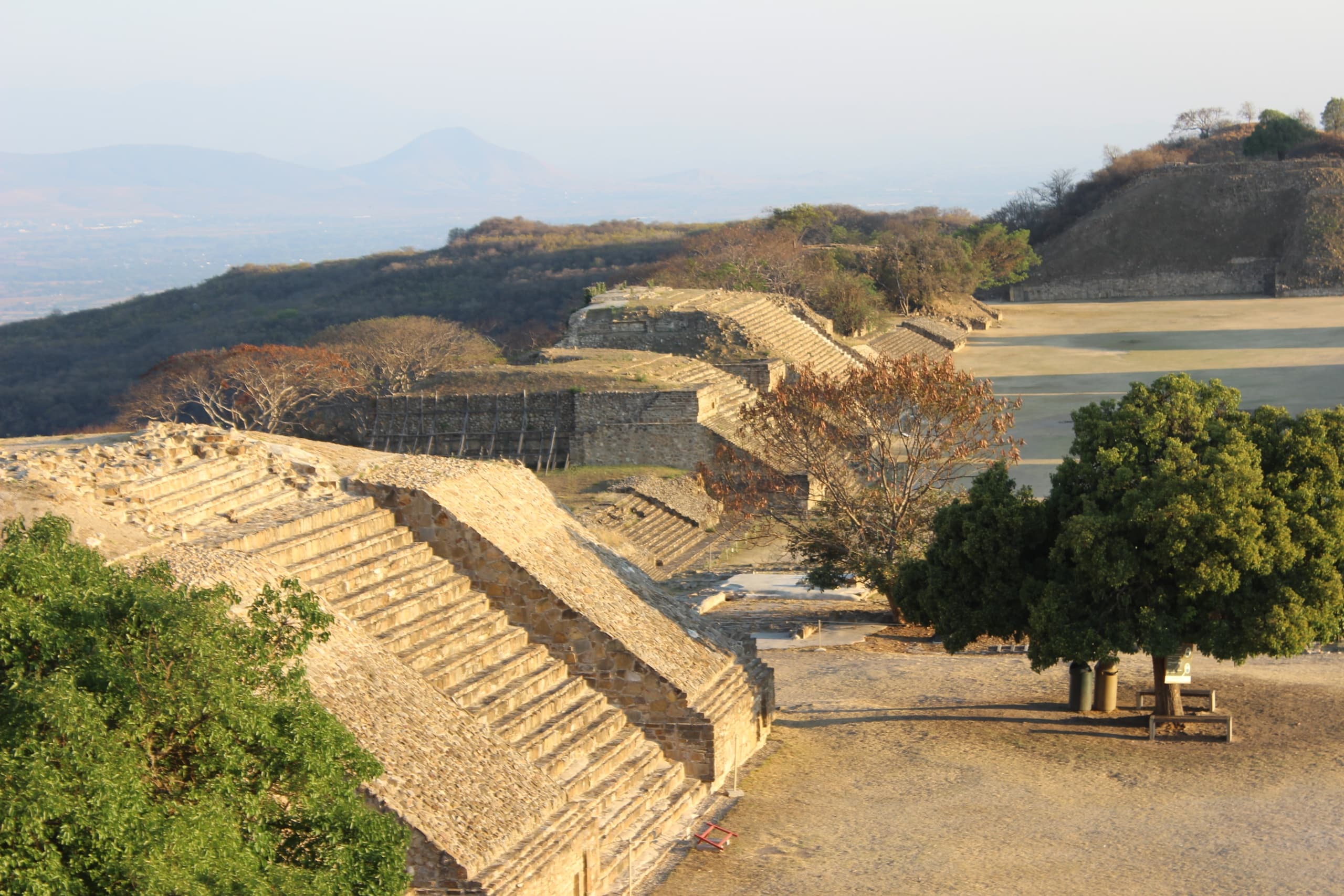 Cultural & Wildlife Tour at Monte Albán