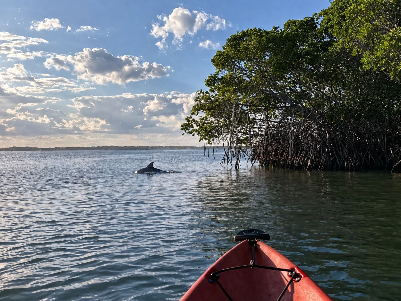 Paddle with Dolphins & Manatees at Sebastian Inlet: Guided Eco Kayak Tour