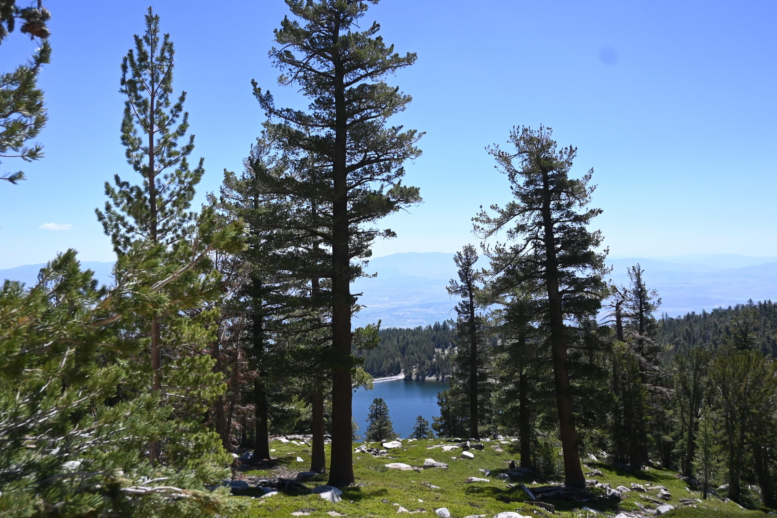 Guided Fly Fishing at East Peak Lake, Kingsbury NV