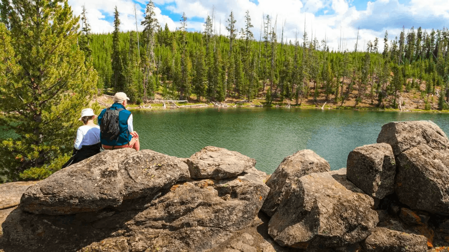 Yellowstone Walking Safari: Hiking & Wildlife Viewing in Montana