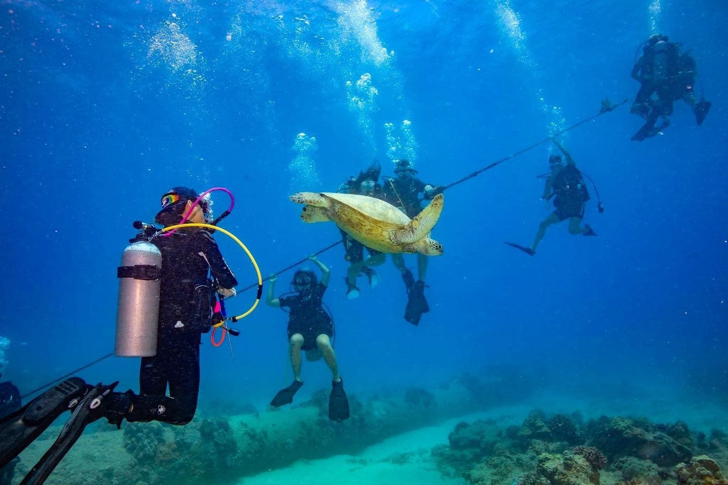 Dive Packages