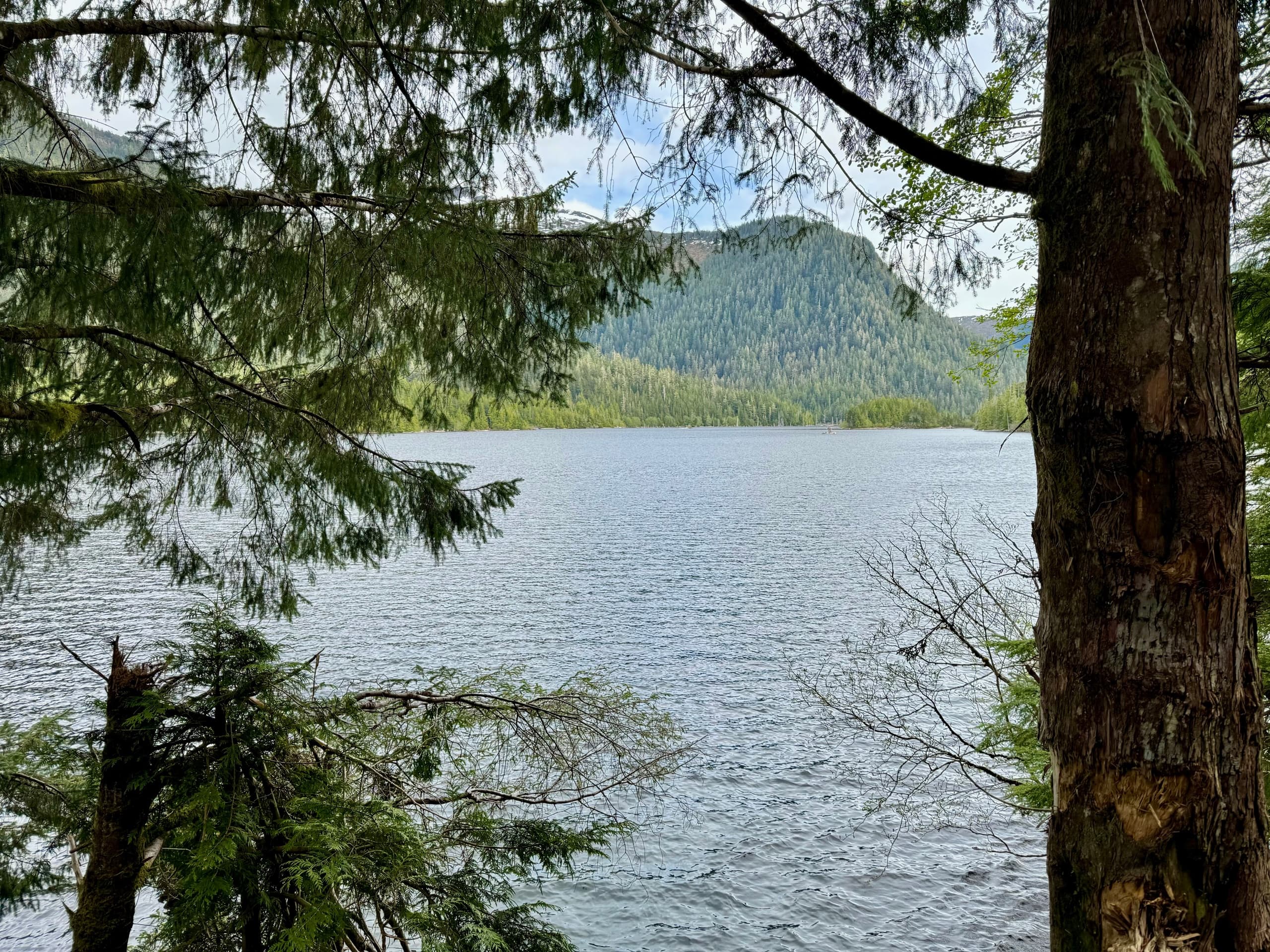 Connell Lake Trail Hike with Island Girl Hiking Company in Ketchikan