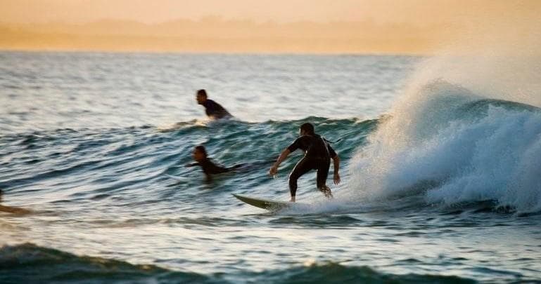 Water Activities at Black Dog Surfing: Surf Lessons for Beginners