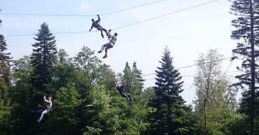 People ziplining across forest canopy, high-adrenaline aerial ride