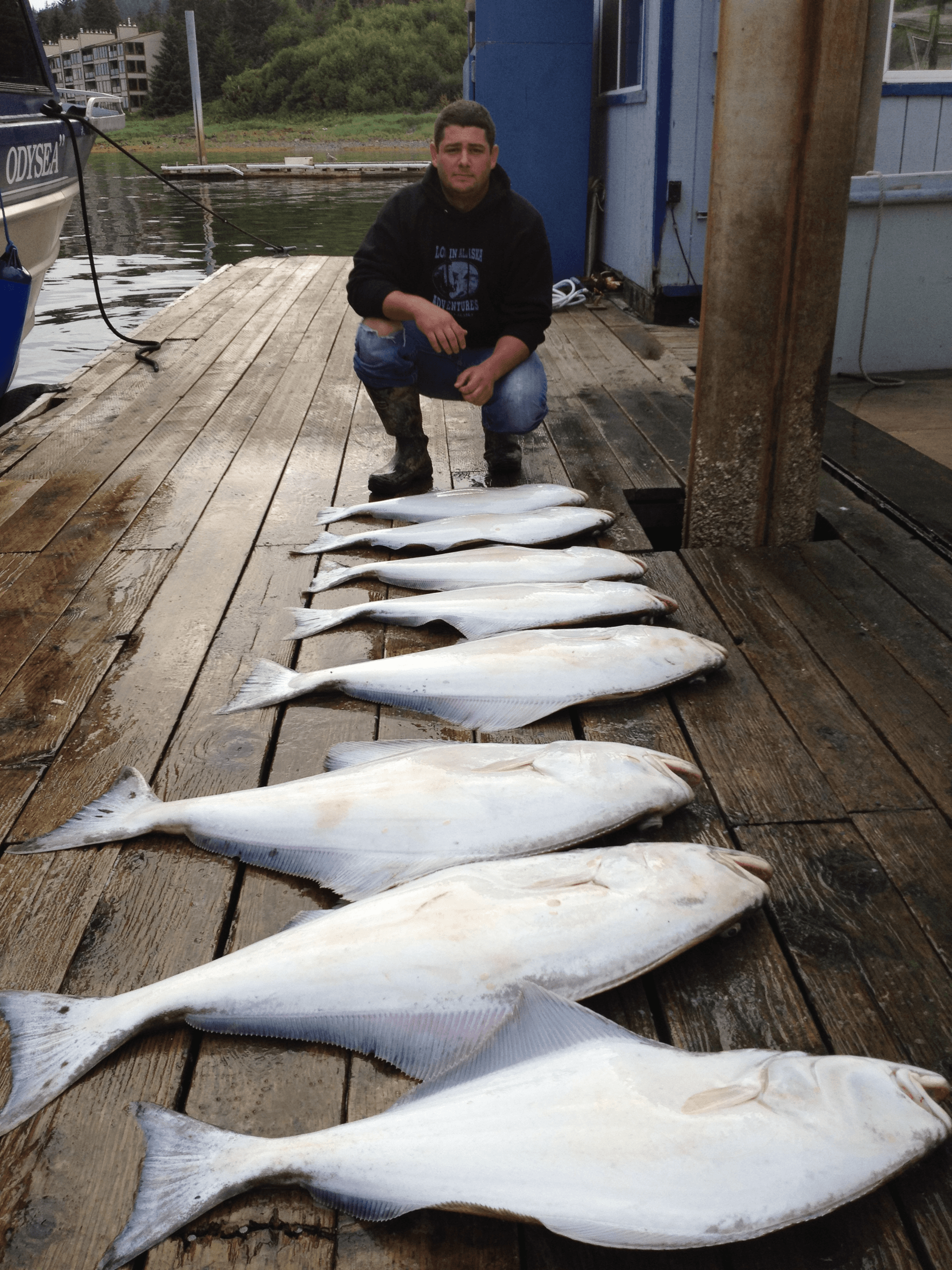 Halibut Fishing in Juneau with Lost in Alaska Adventures