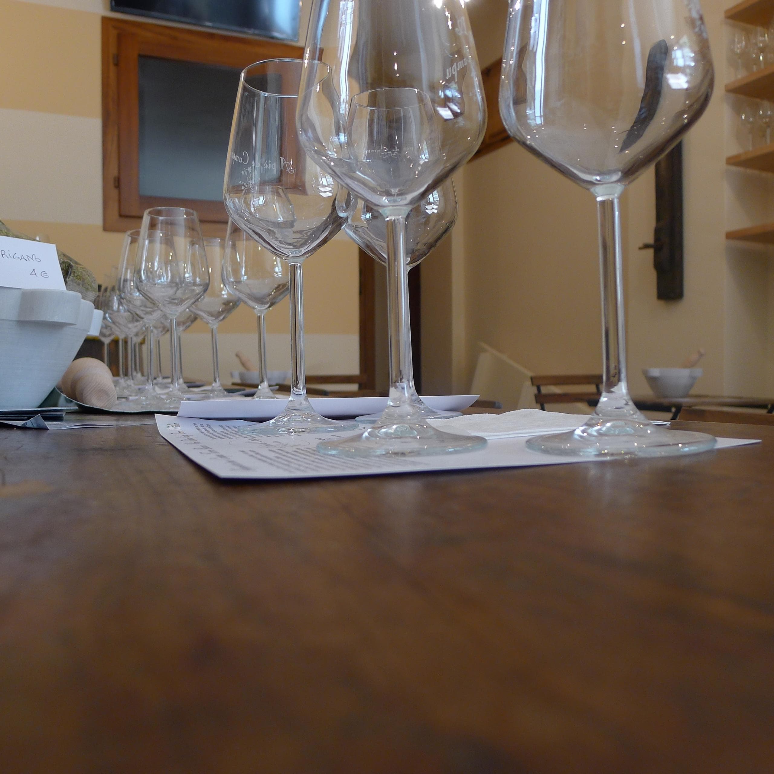 Cinque Terre Wine Tasting & Vineyard Walk with Arbaspaa