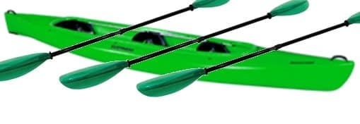 Water Activities with Bright Side Tours in [Location]