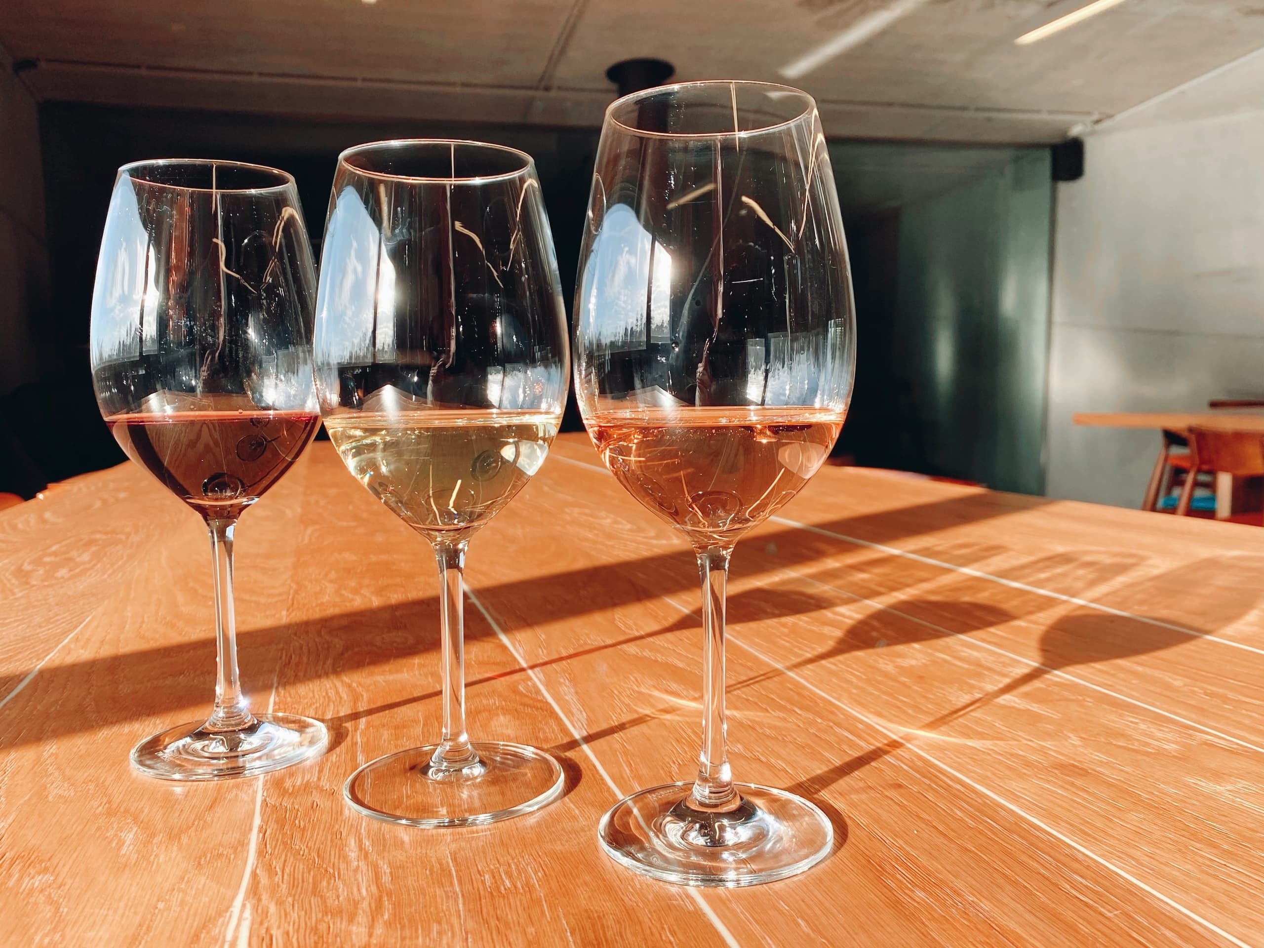 Wine Tasting at Caminhos Cruzados Winery in Dão