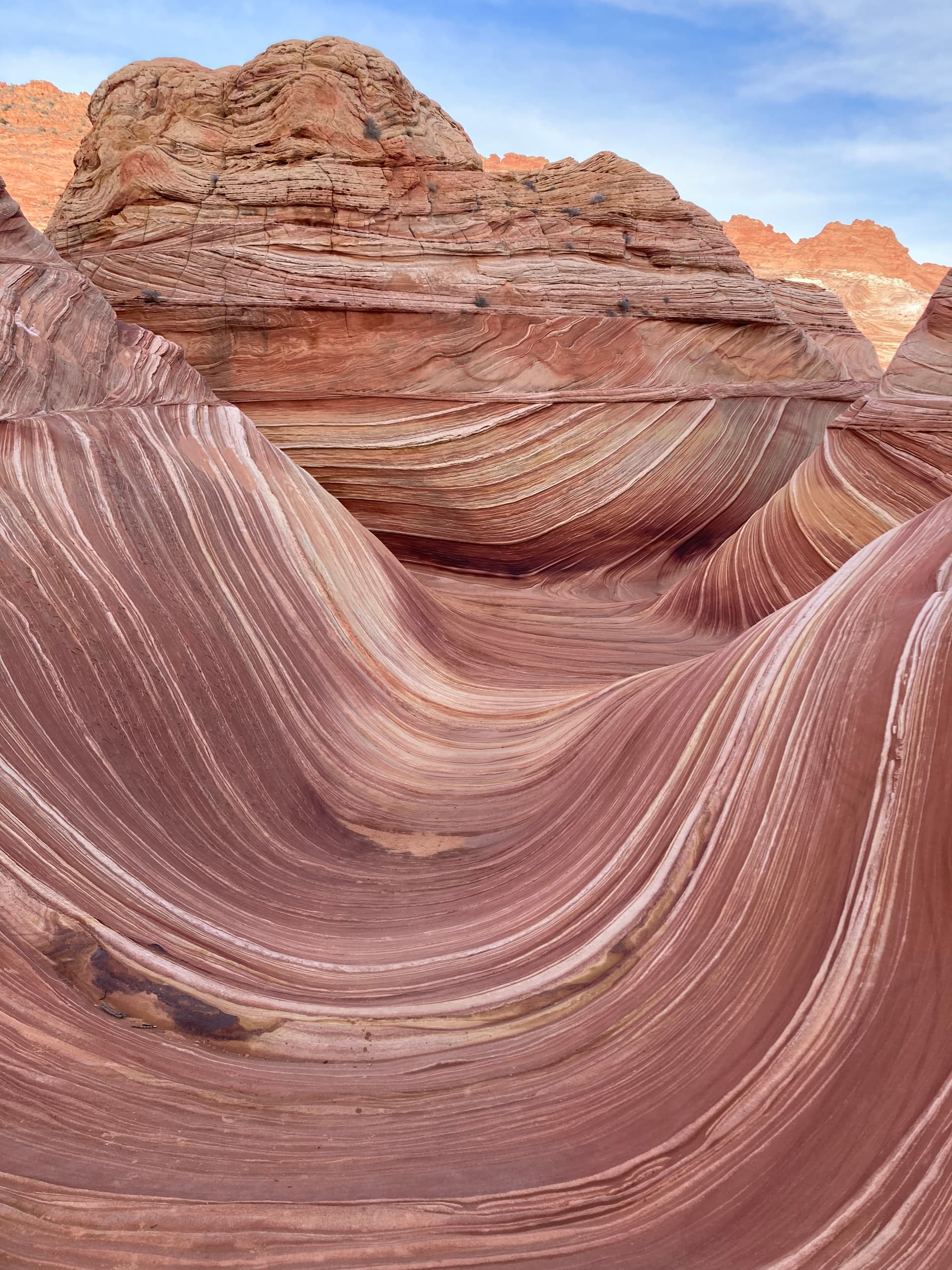 Water Activities & Scenic Tours at Lake Powell Guided by The Wave