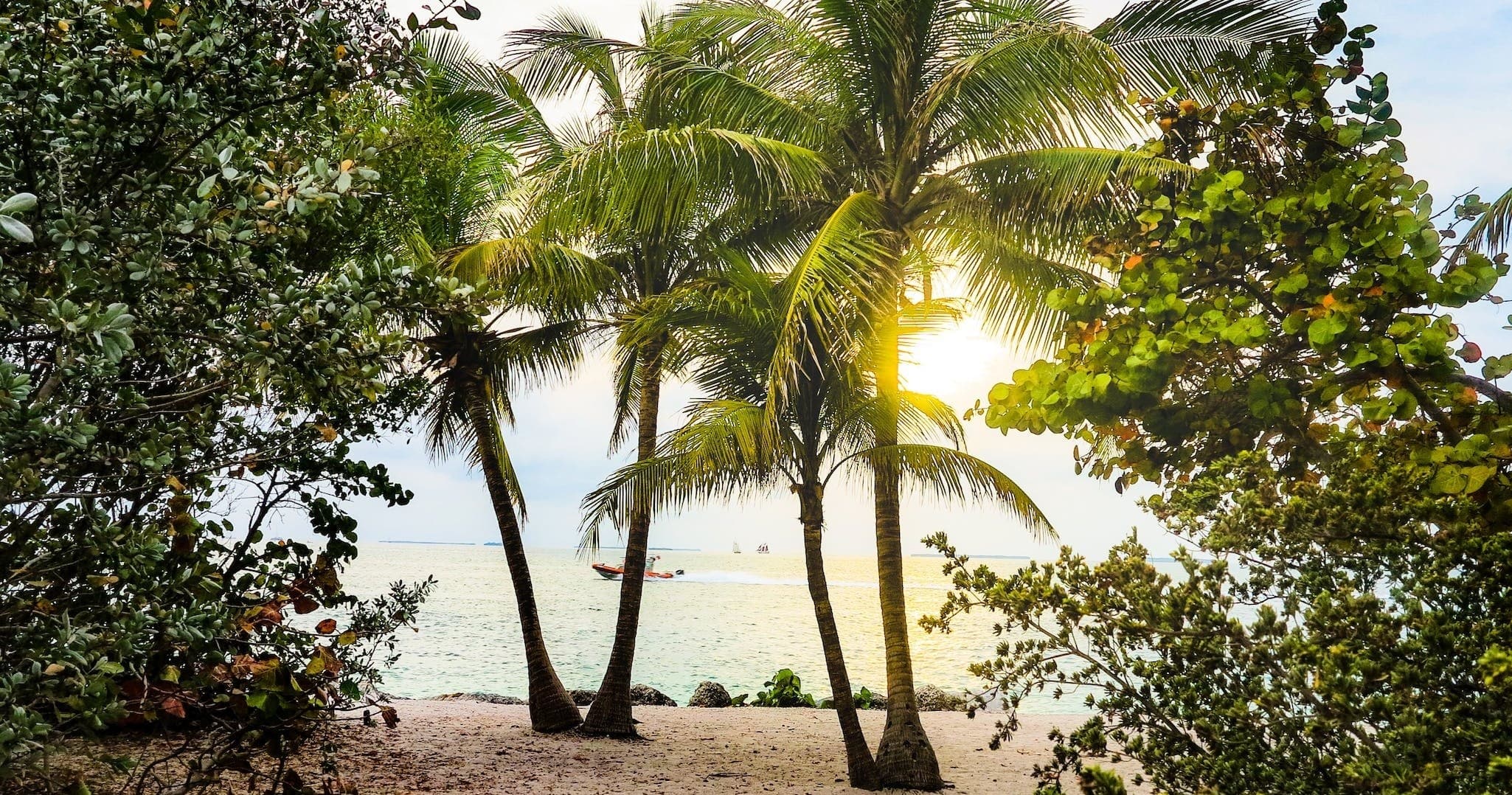 Palm-fringed tropical beach at sunset for coastal exploration