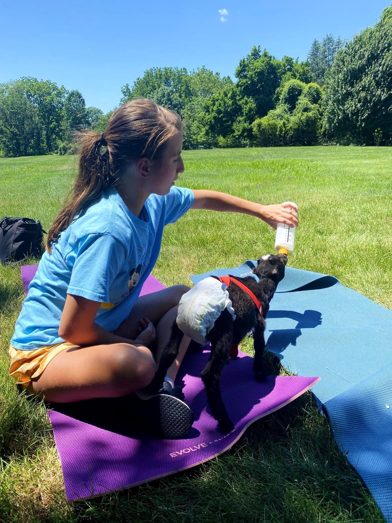 Wildlife & Animal Encounters at Penns Woods Winery