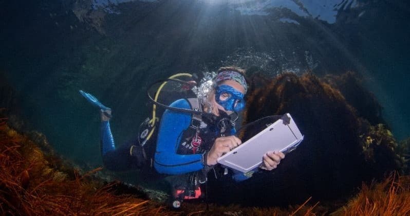 Becoming a Divemaster on Catalina Island: 3-Month PADI Course in Avalon