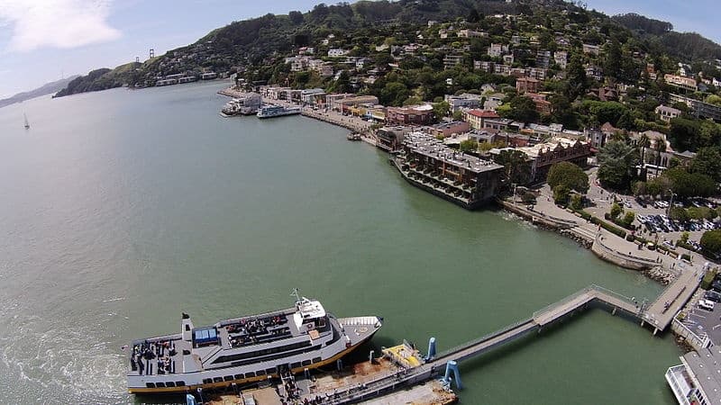 San Francisco Waterfront Essentials: Golden Gate Cruise, Pier 39 Sea Lions & Aquarium Discounts photo 3