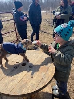 Bottle-Feed Baby Goats in Martintown: 30-Minute Farm Snuggle Experience photo 2