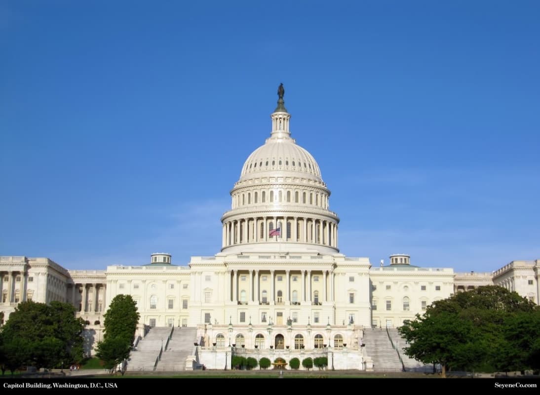 Day Trip Adventure with Per Le Strade Di New York from NYC to Washington D.C.