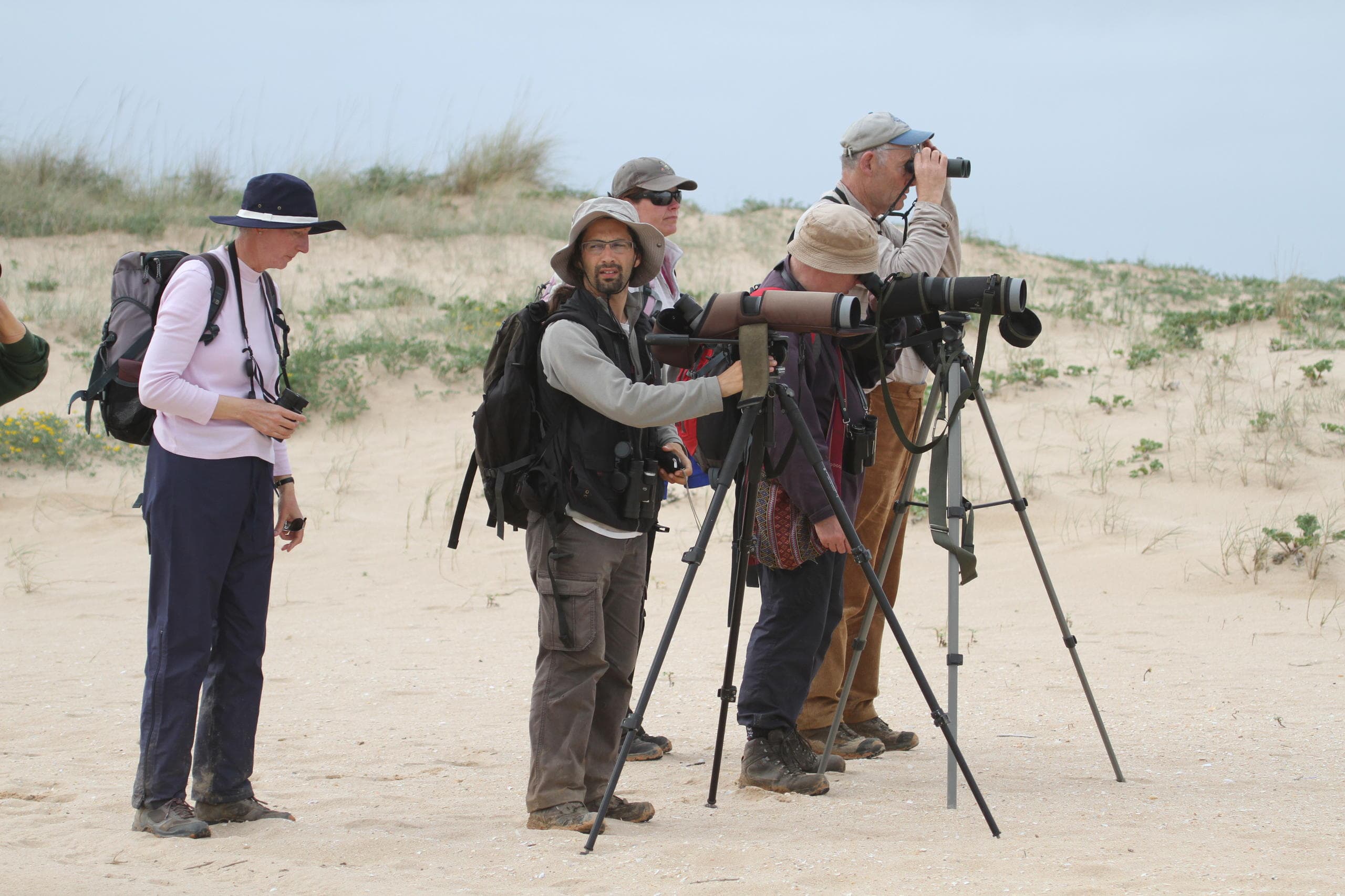 Birdwatching in Algarve: A Rocha Life’s Dune Safari from Portimão