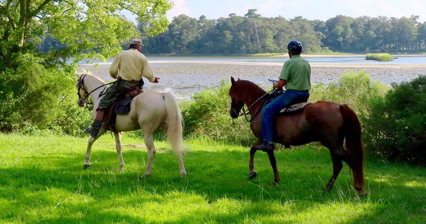 Esperanza Riding Company - Virginia fleet