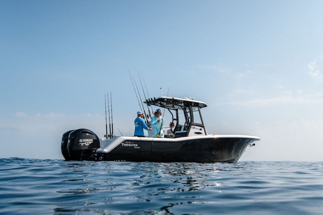 Charleston Inshore Fishing Charter: 4-Hour Half-Day in Mount Pleasant Estuaries