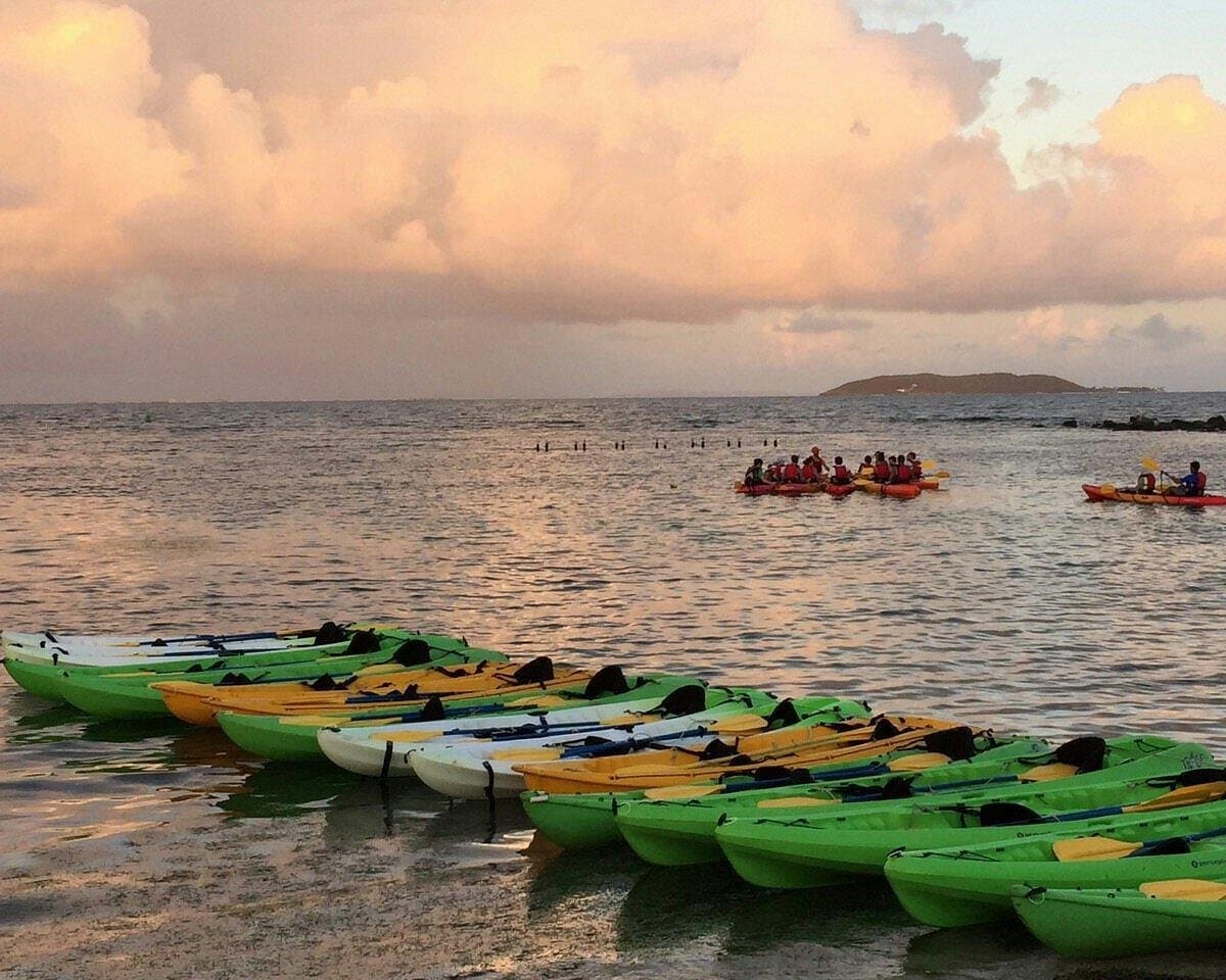 Discover Fajardo’s Bioluminescent Bay: A Magical Night Kayak Adventure