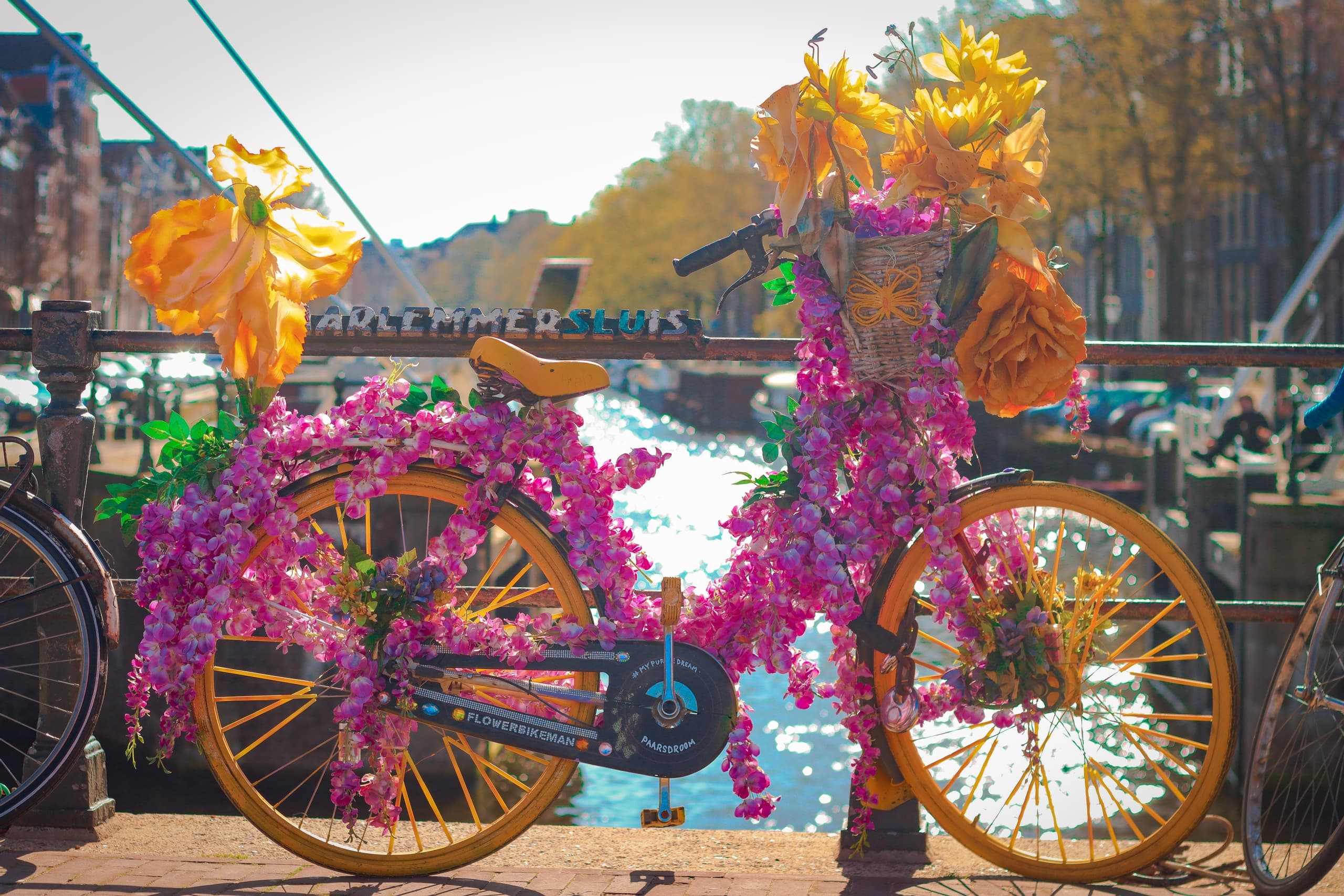 Amsterdam City Landmarks Photography Tour by Photoexploring