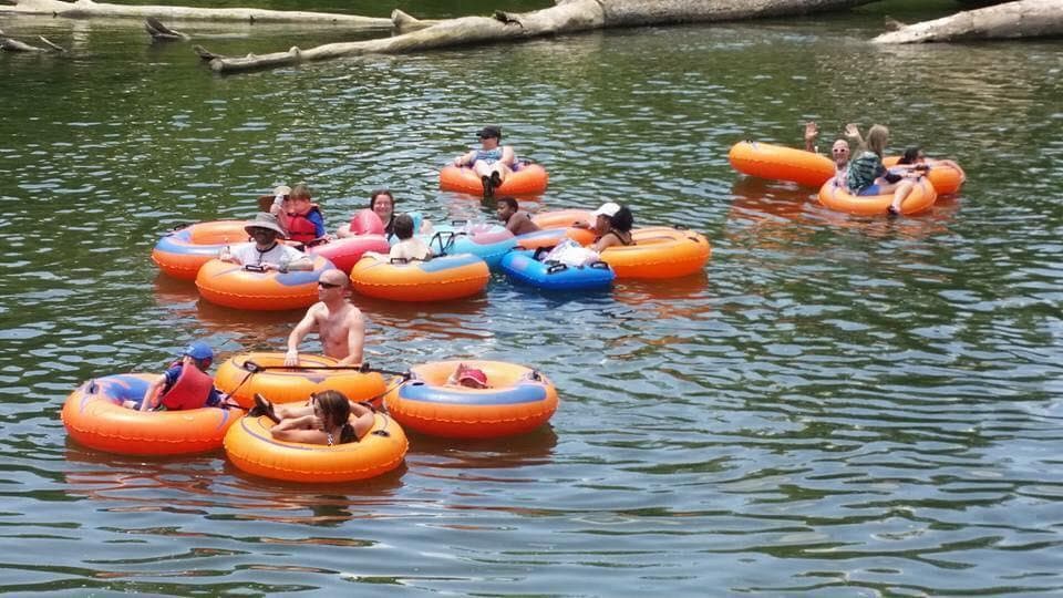 Watermelon Park fleet