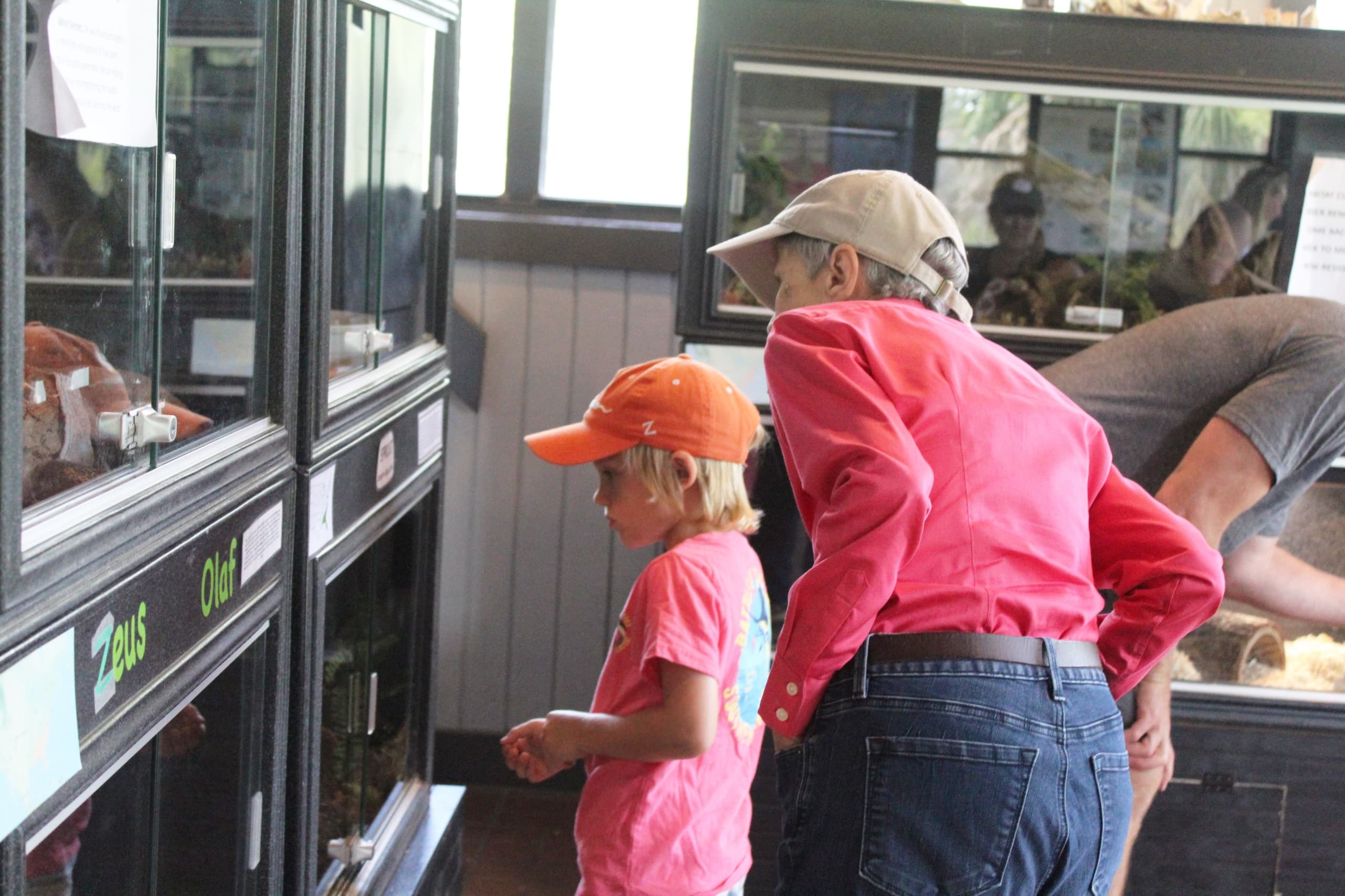 Animal Care Volunteering on Fripp Island Nature Center