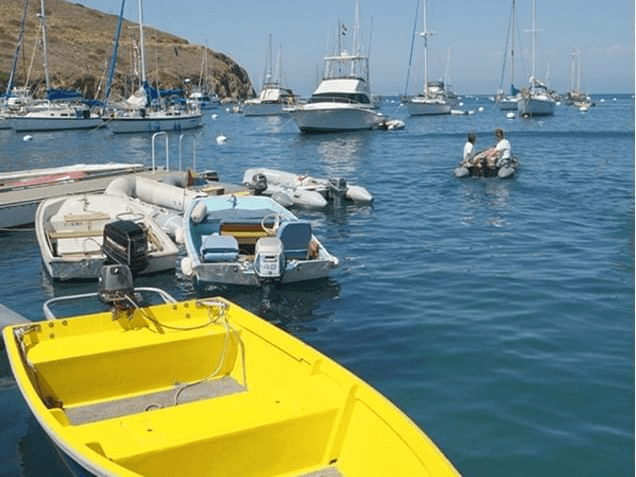 Skiff Rentals for Ocean Fishing in Avalon, California