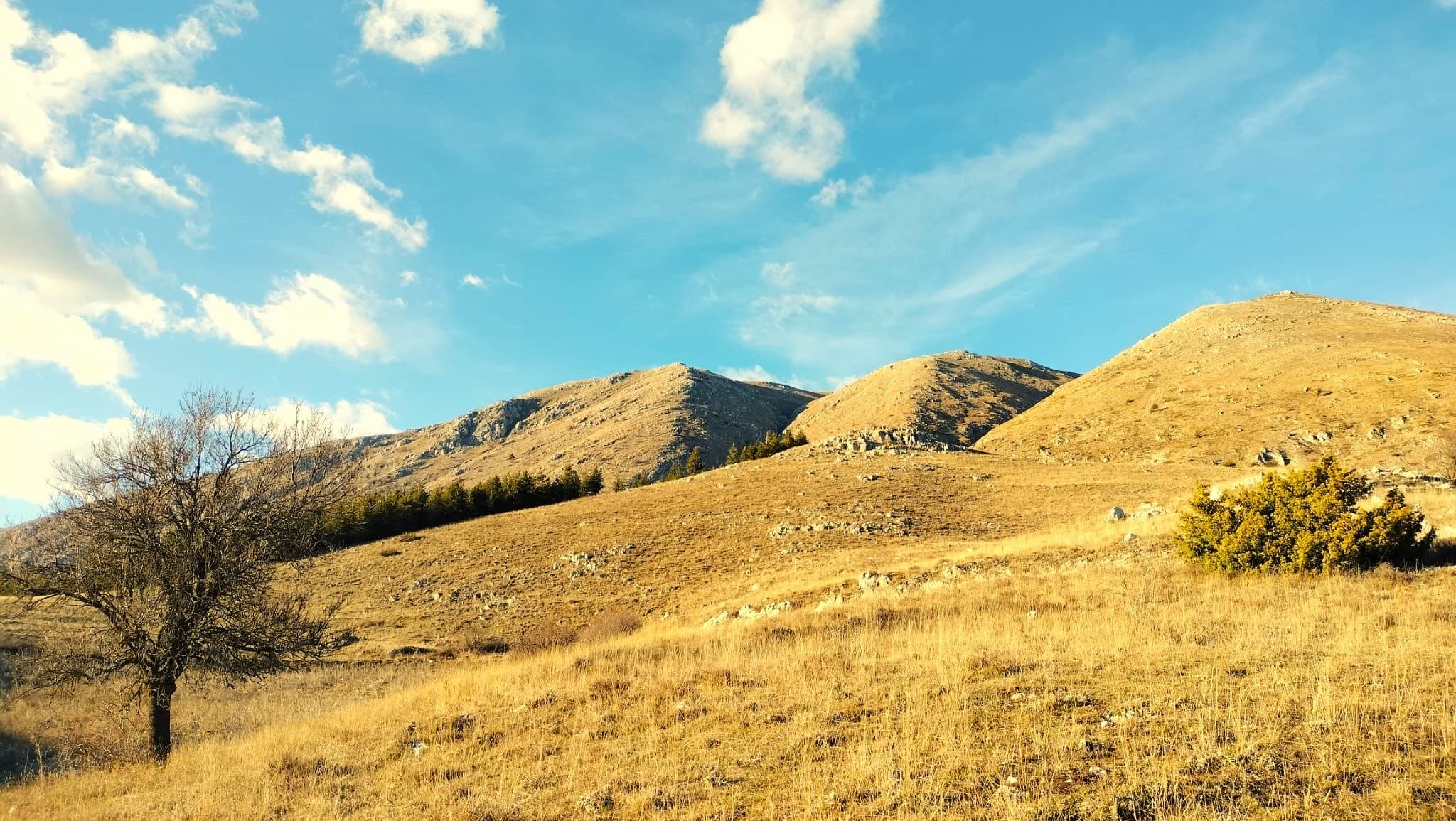 Griffon Vulture Hike at Monte Velino: Birding & Wildlife in Sirente-Velino Park photo 4