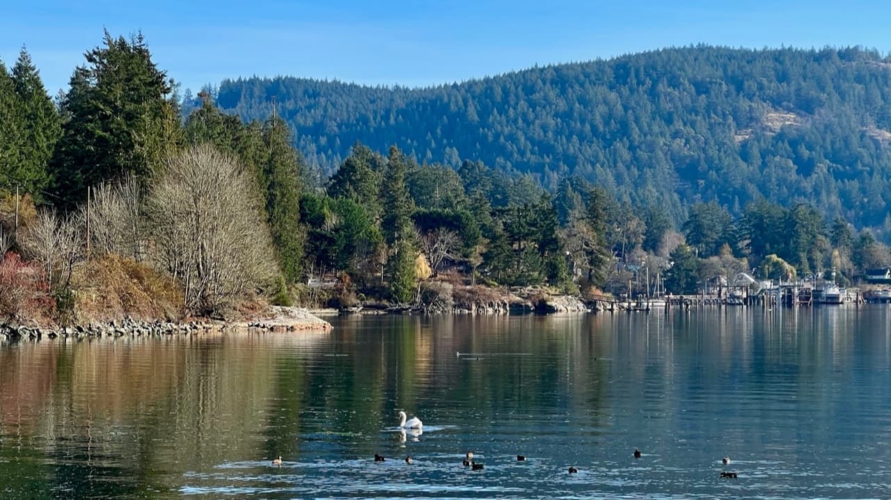 Day Trips & Coastal Drives on Salt Spring Island