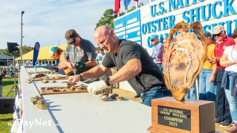 Taste the Crown: One Day Pass to Leonardtown’s US Oyster Festival photo 1