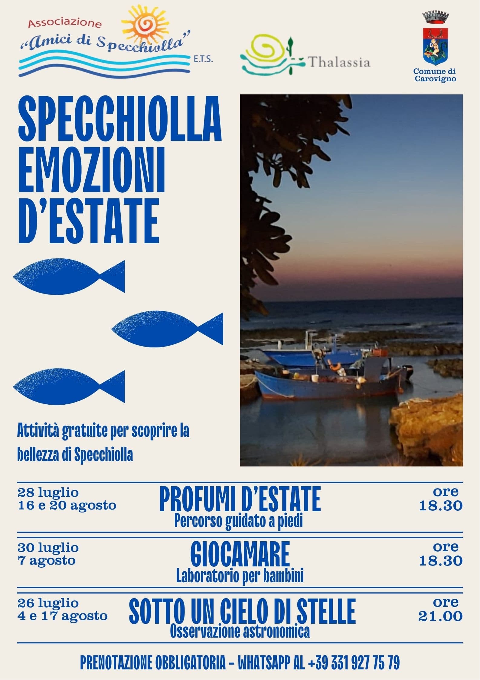 Summer Beach Activities & Stargazing in Specchiolla, Italy