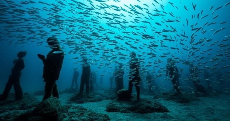 Diving into Art: Pura Vida Diving at Museo Atlántico in Las Palmas