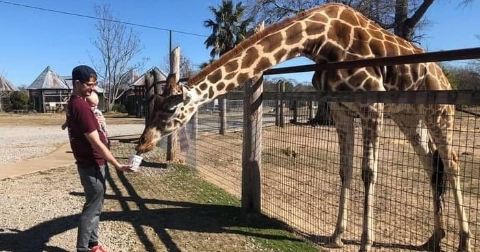 Wildlife Safari & Animal Encounters at Gone Wild Safari Park
